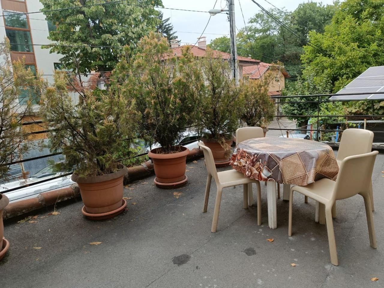 סופיה 10 Coins Hostel & Tours מראה חיצוני תמונה